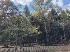 -帽儿山国家森林公园