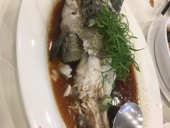 -金河半岛园林酒家(金融城店)