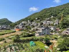 -花岙岛