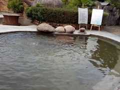 -雅安楠水阁温泉酒店