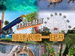 -长鹿旅游休博园