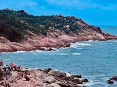 -广东惠东海龟国家级自然保护区