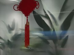 -悦海·家宴·冰花皮皮虾大锅贴(宝龙店)