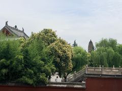 -洛阳白马寺