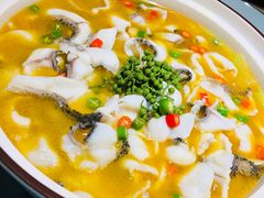 -青花椒花椒鱼(合生汇店)