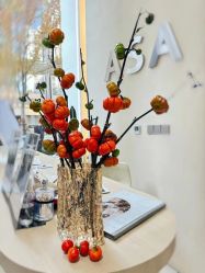 -ASA HAIR SALON