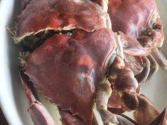 -胖大嫂渔家排档·全海景餐厅(渔村店)