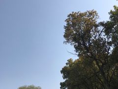 -东方绿舟景区