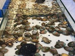 -川骄海鲜自助(河东店)