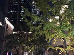 -徐家汇源景区-衡山坊