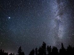 -成都蒲江花样年福朋喜来登度假酒店·宜客乐西餐厅