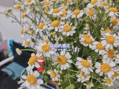 -Line 咖啡(石厦花园店)