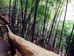 -东天目山风景区