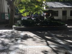 -华山儿童公园