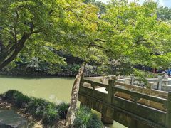 -虞山城墙