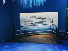 -海合安青岛极地海洋公园