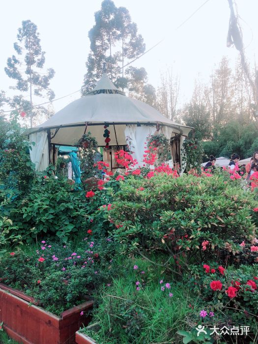 三圣花乡旅游区图片