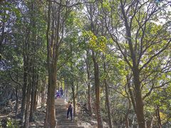 -梧桐山风景名胜区