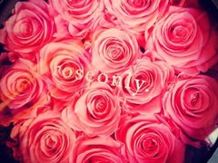 -ROSEONLY诺誓(国际广场购物中心店)