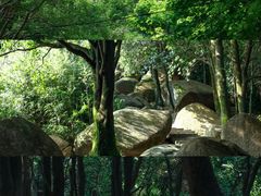 -火炉山森林公园