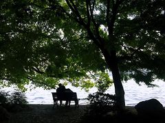 -西湖游船