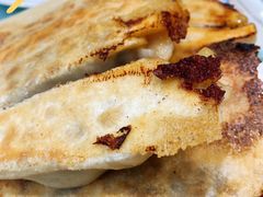 -陶然饺子城(奥体中路店)