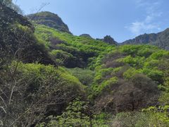-湖洞水自然风景区