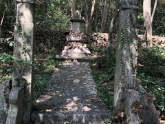 -紫金山山顶公园