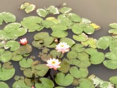 -长兴太湖图影湿地文化园