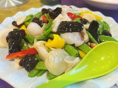 荷塘月色-南来顺饭庄·清真(南菜园店)