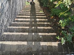 -朴园