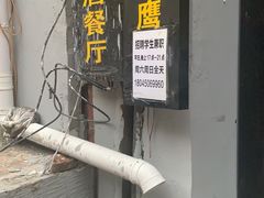 -猫头鹰炸鸡