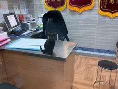 -瑞派名望志远动物医院·猫科·內科·异宠专科(直港大道店)