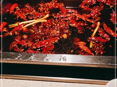 -大龙火锅(龙潭寺旗舰店)