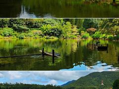 -深圳仙湖植物园