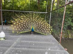 -福建鲤鱼洲酒店