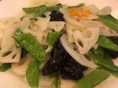 -紫光园(天通苑店)