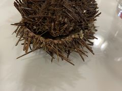 -海胆小馆(东北水饺·春柳店)