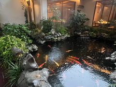 -鲤院·新中式美学·庭院餐厅(夫子庙店)