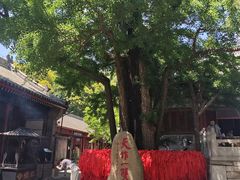 -红螺寺