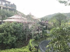 -广州都喜泰丽温泉度假酒店