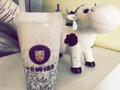-一只酸奶牛(八一路店)