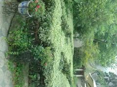 android_upload_pic-翰林轩翰林金阁(长乐路店)