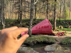 -汤旺河林海奇石景区