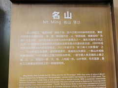 -丰都鬼城名山景区