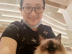 -1013 PET SHOP精品宠物商店(丁香店)