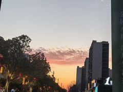 -南汇新城城市公园