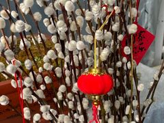 -龙大花卉苗木市场