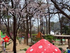 -沂蒙山旅游区云蒙景区(蒙山国家森林公园)
