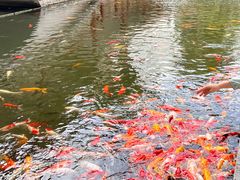 -番禺宾馆丽苑厅